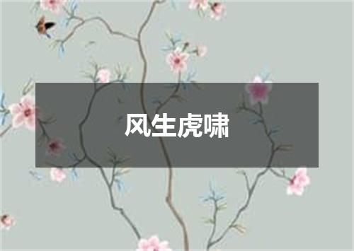 风生虎啸