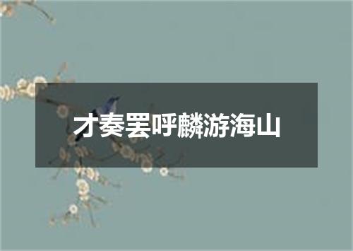 才奏罢呼麟游海山