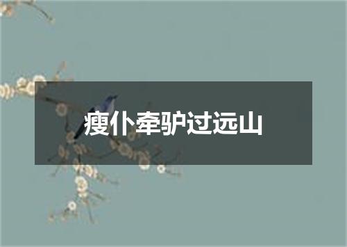 瘦仆牵驴过远山