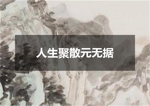 人生聚散元无据