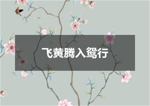 飞黄腾入鸳行