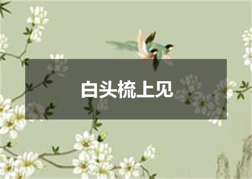 白头梳上见