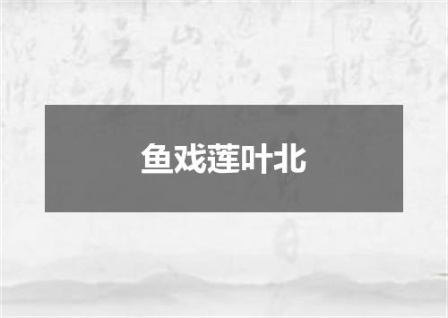 鱼戏莲叶北