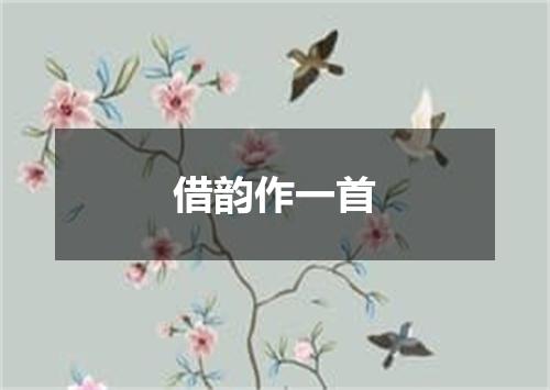 借韵作一首
