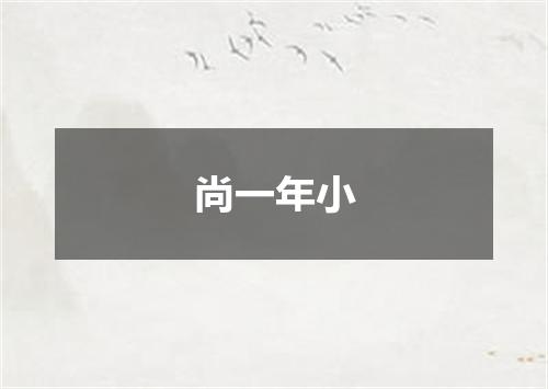 尚一年小