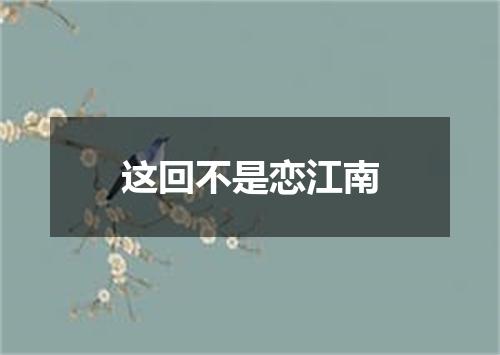 这回不是恋江南