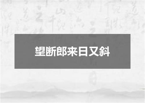 望断郎来日又斜