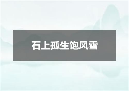 石上孤生饱风雪