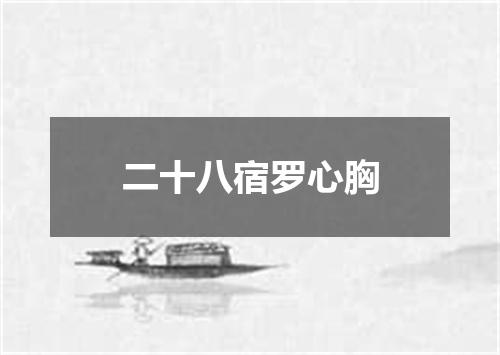 二十八宿罗心胸