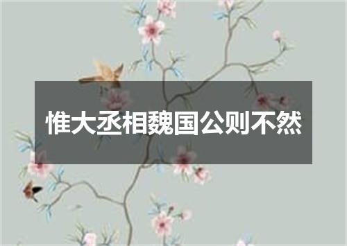 惟大丞相魏国公则不然