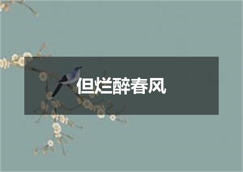 但烂醉春风