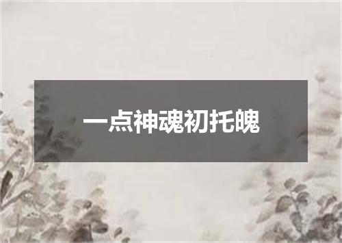 一点神魂初托魄
