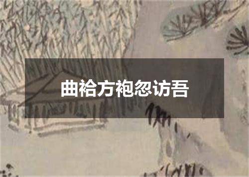 曲袷方袍忽访吾
