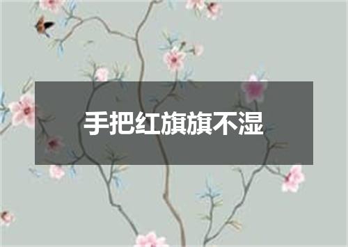 手把红旗旗不湿