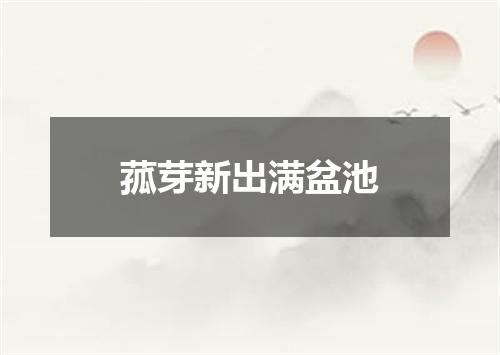 菰芽新出满盆池