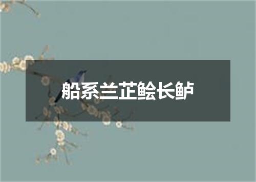 船系兰芷鲙长鲈