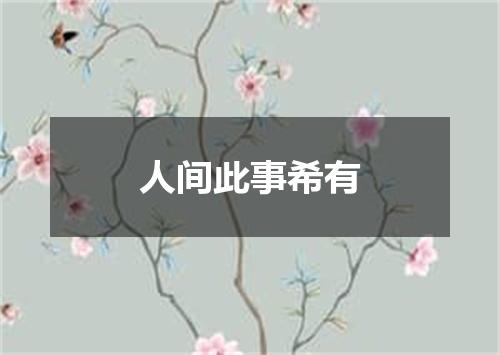 人间此事希有