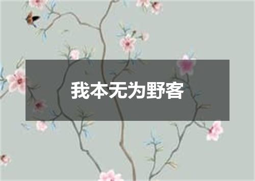 我本无为野客