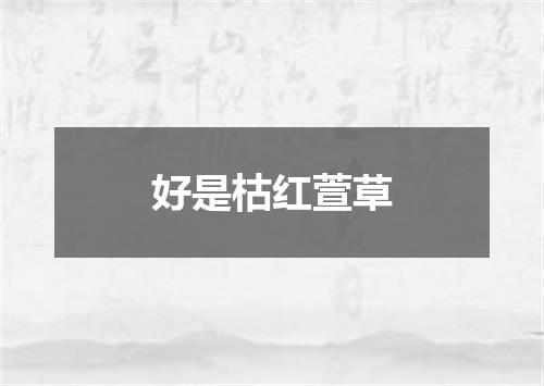 好是枯红萱草
