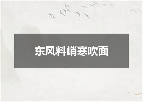 东风料峭寒吹面