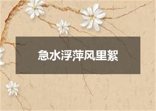 急水浮萍风里絮