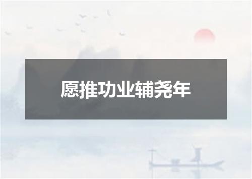 愿推功业辅尧年