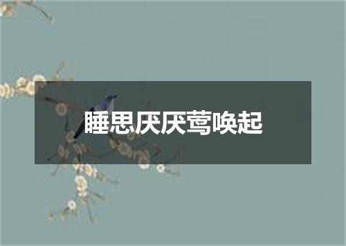 睡思厌厌莺唤起