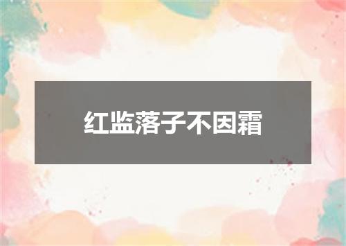 红监落子不因霜