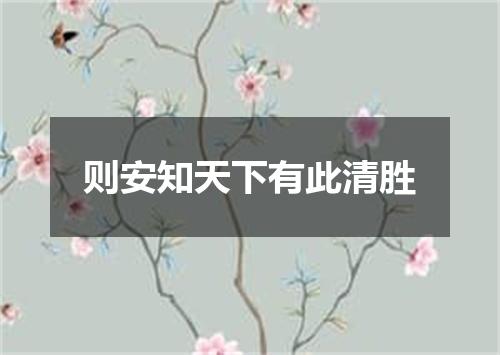 则安知天下有此清胜
