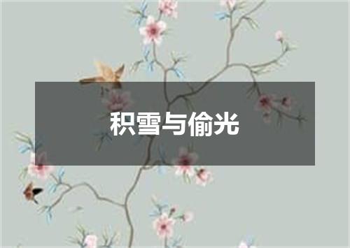 积雪与偷光