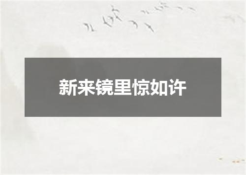 新来镜里惊如许