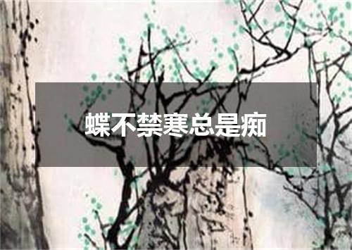 蝶不禁寒总是痴