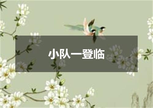 小队一登临