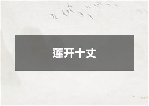 莲开十丈