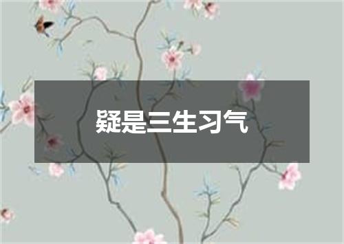 疑是三生习气