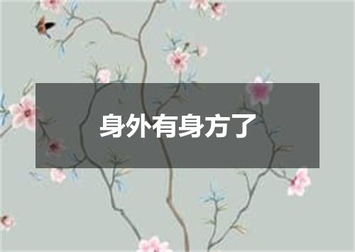 身外有身方了