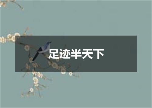 足迹半天下