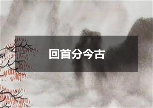 回首分今古