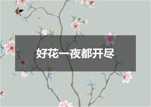 好花一夜都开尽