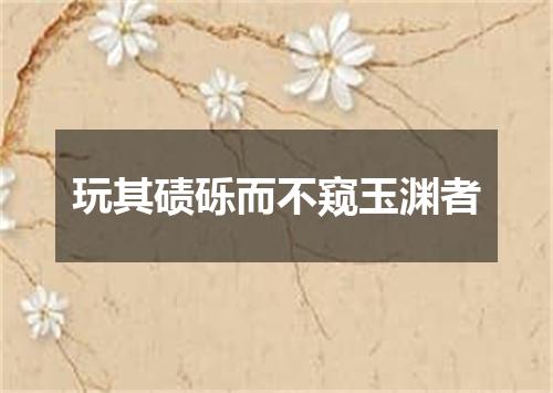 玩其碛砾而不窥玉渊者