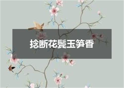 捻断花鬓玉笋香