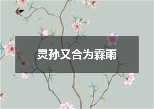 灵孙又合为霖雨