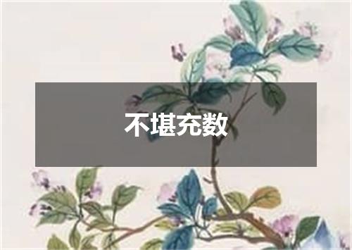 不堪充数