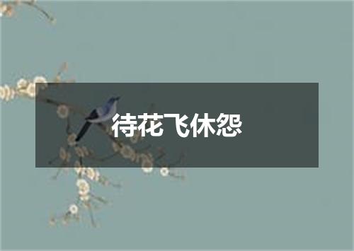 待花飞休怨