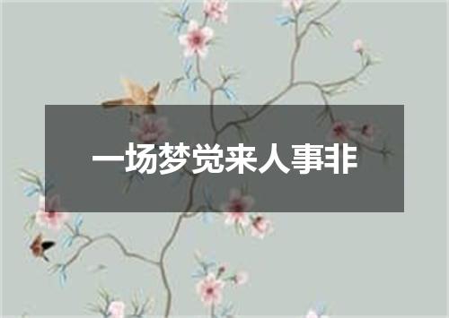 一场梦觉来人事非