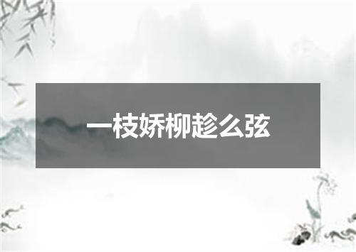 一枝娇柳趁么弦