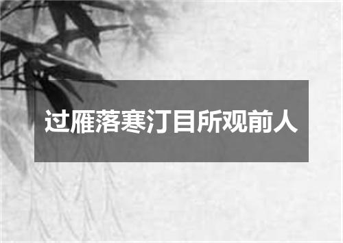 过雁落寒汀目所观前人