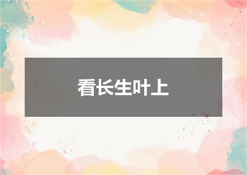 看长生叶上