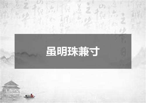 虽明珠兼寸