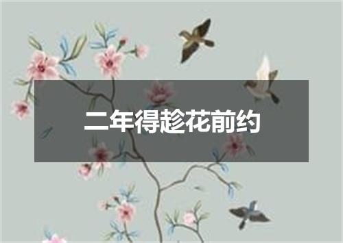 二年得趁花前约